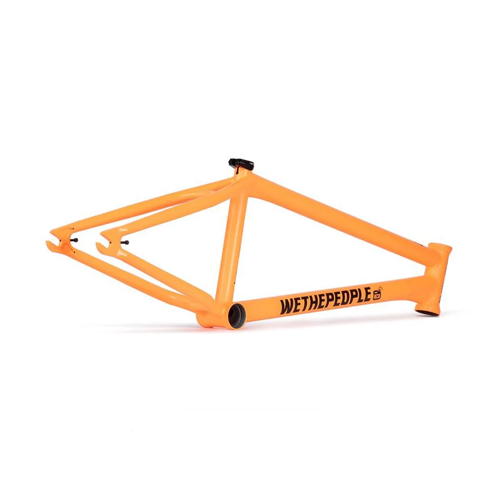 Wethepeople Doomsayer Frame - Image 11