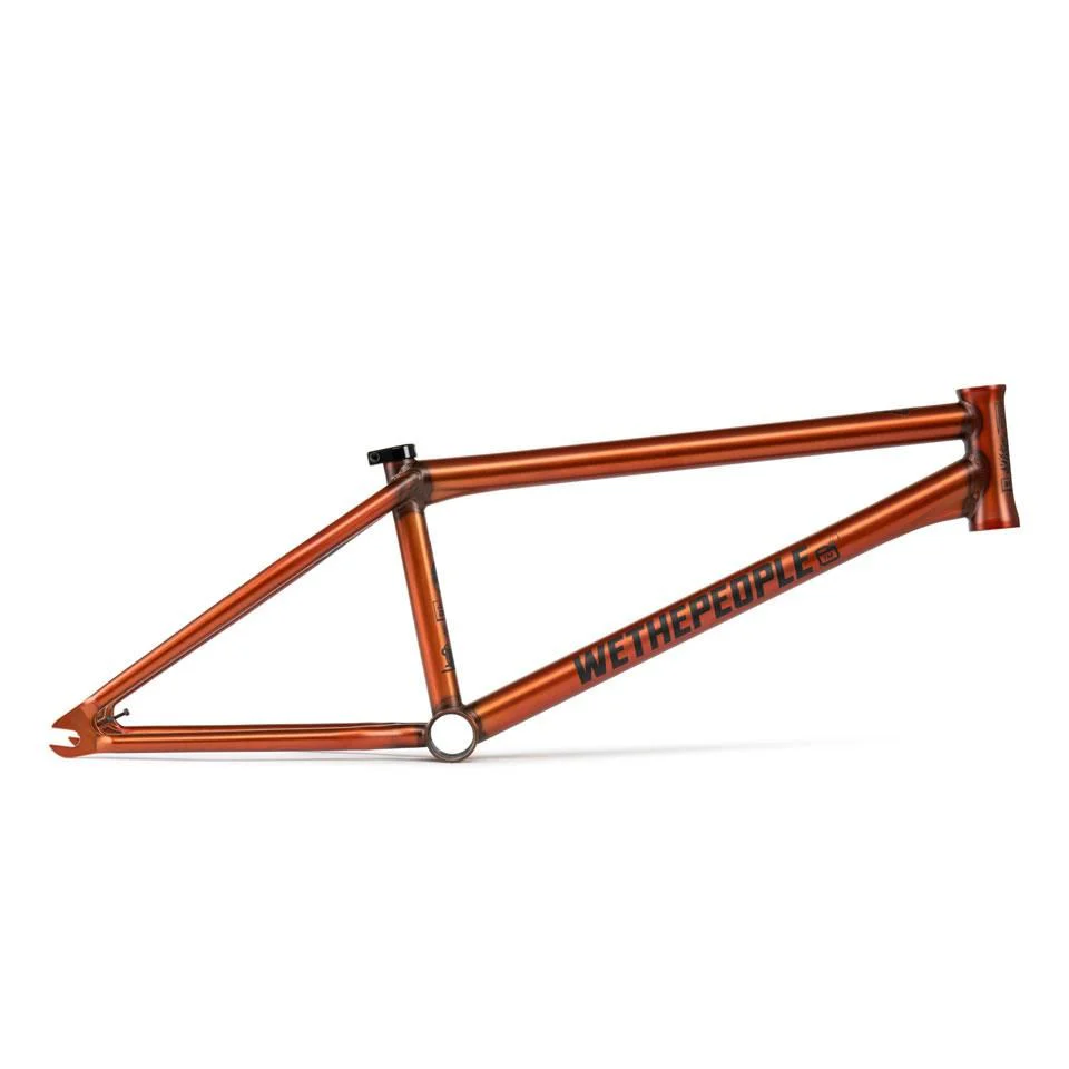 Wethepeople Doomsayer Frame - Image 14