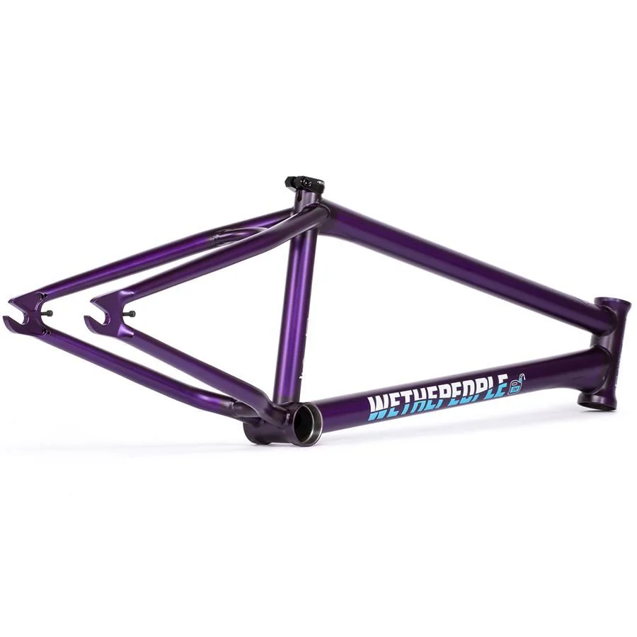 Wethepeople Doomsayer Frame - Image 5