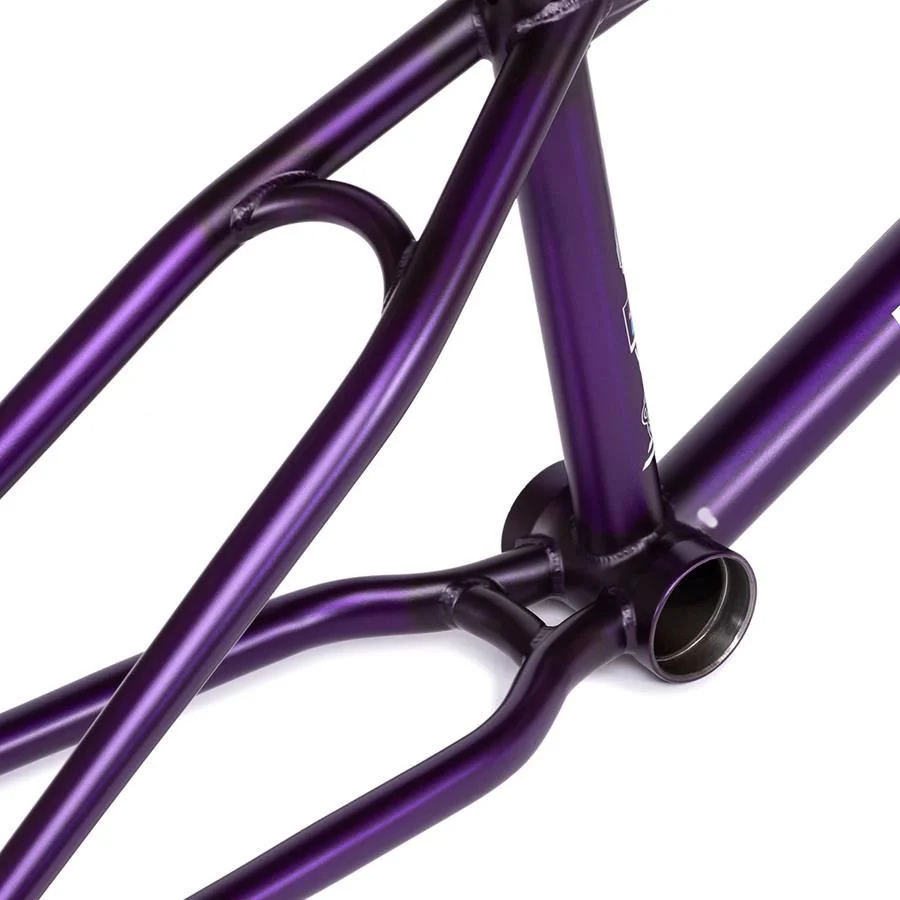 Wethepeople Doomsayer Frame - Image 8