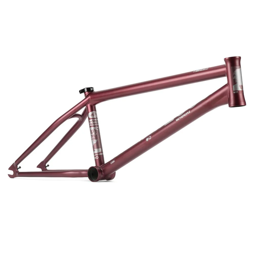 Wethepeople Doomsayer 'Jordan Godwin' Signature Frame - Image 12