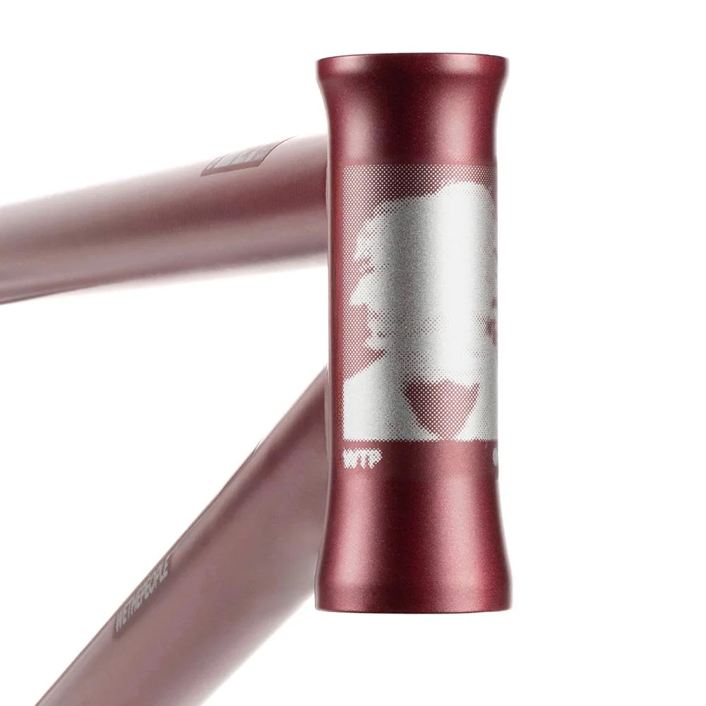 Wethepeople Doomsayer 'Jordan Godwin' Signature Frame - Image 14
