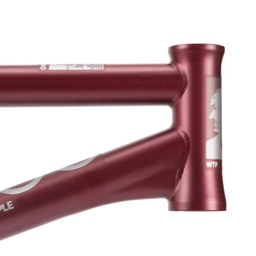 Wethepeople Doomsayer 'Jordan Godwin' Signature Frame - Image 15