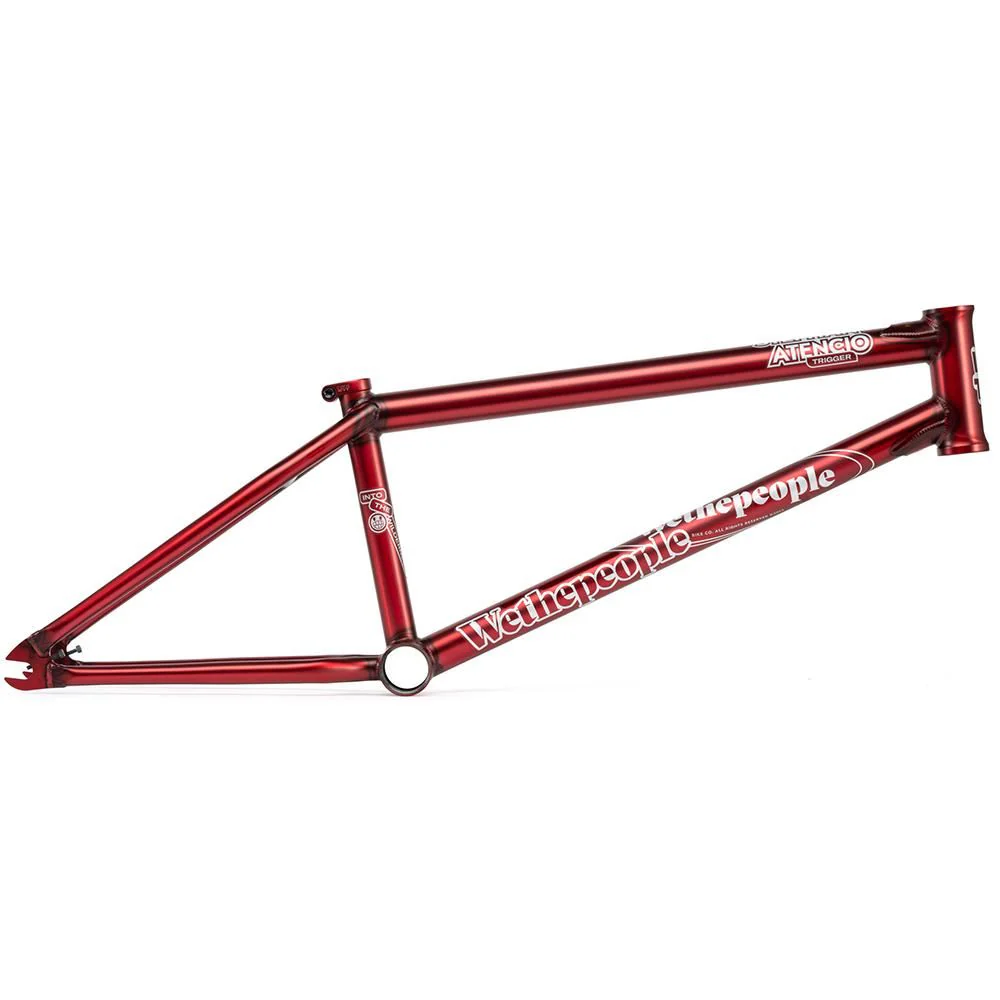 Wethepeople Trigger Frame - Image 2